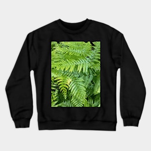 Lush green fern leaves, tropical forest print in vivid colors Crewneck Sweatshirt